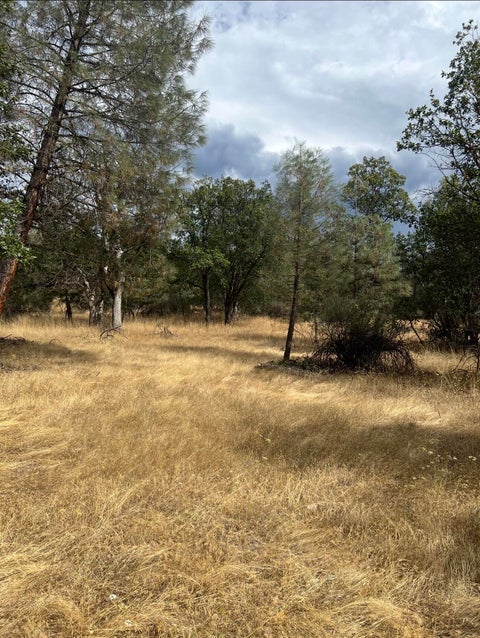 Photo of 440 Ransom Road, Weaverville, CA 96093 (MLS # 272794)