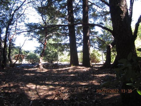 547 Toth Road, Shelter Cove, CA 95589 - #: 262791