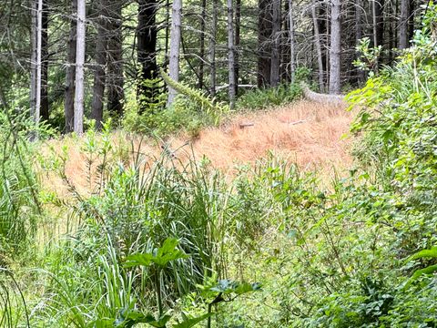 Photo of 191 Redwood Road, Shelter Cove, CA 95589 (MLS # 271715)