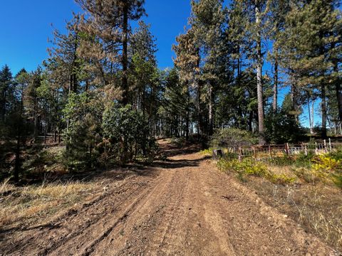 Photo of 421 & 531 Bluff Creek Road, Kettenpom, CA 95595 (MLS # 271810)