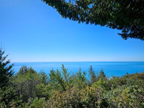 Photo of 286 Blueridge Road, Whitethorn, CA 95589 (MLS # 272806)