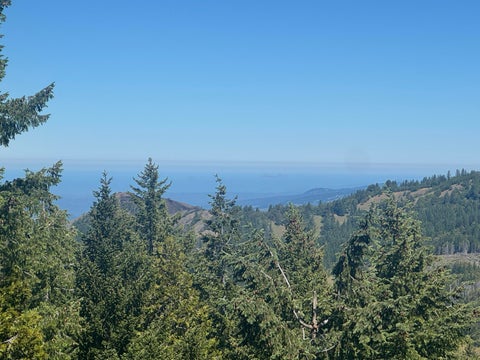 Photo of 40 Acres Snow Camp Road, Blue Lake, CA 95525 (MLS # 272739)