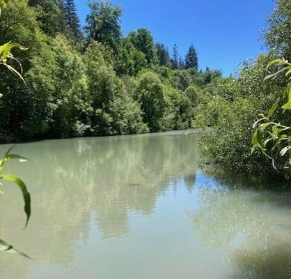 1181 SANICULA RD, MAD RIVER, CA 95552 - Image a2e5ed4aa69bbec0455420fe131e3e25/2361003044