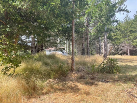 Photo of 243 Debbie Lane, Shelter Cove, CA 95589 (MLS # 273208)