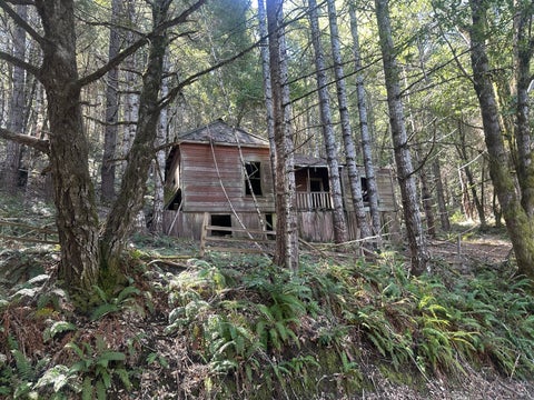 Photo of 19624 Dyerville Loop Road, Phillipsville, CA 95559 (MLS # 272984)