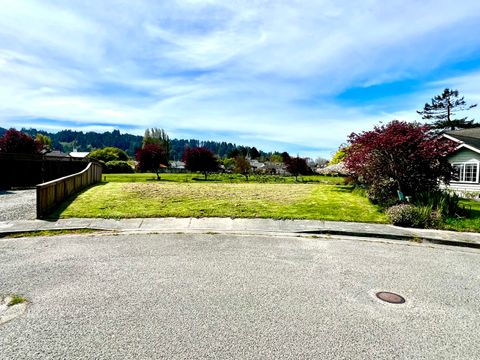 Photo of 1050 Cream Court, Ferndale, CA 95536 (MLS # 271945)