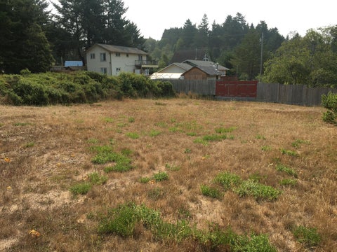 Photo of 190 Debbie Lane, Whitethorn, CA 95589 (MLS # 272821)
