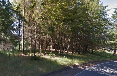 Photo of 9350 Shelter Cove Road, Whitethorn, CA 95589 (MLS # 273405)