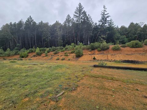 Photo of 0000 Madrone Road, Alderpoint, CA 95511 (MLS # 271698)
