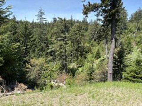 Photo of 12350 Forest Service Rt 1 Road, Kneeland, CA 95549 (MLS # 272896)