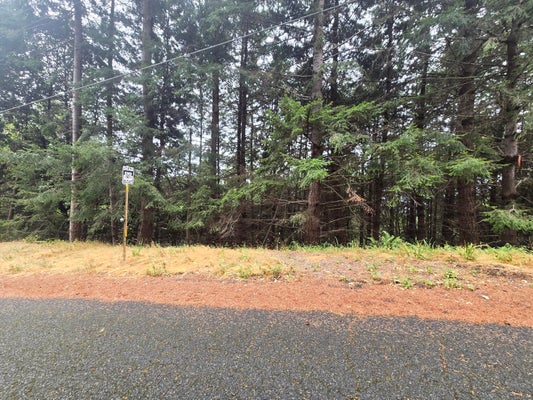 149 OTTER LN, WHITETHORN, CA 95589 - Image caee0400a65a46802f56378f59c2c976/4211792287
