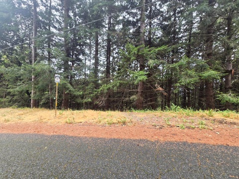 Photo of 149 Otter Lane, Shelter Cove, CA 95589 (MLS # 273287)