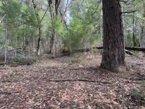 Photo of 320 Coon Creek Road, Salyer, CA 95563 (MLS # 271579)