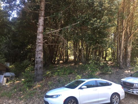 Photo of 85 Carson Court, Whitethorn, CA 95589 (MLS # 271617)