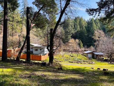 Photo of 141 Wallen Ranch Road, Hawkins Bar, CA 95527 (MLS # 271486)