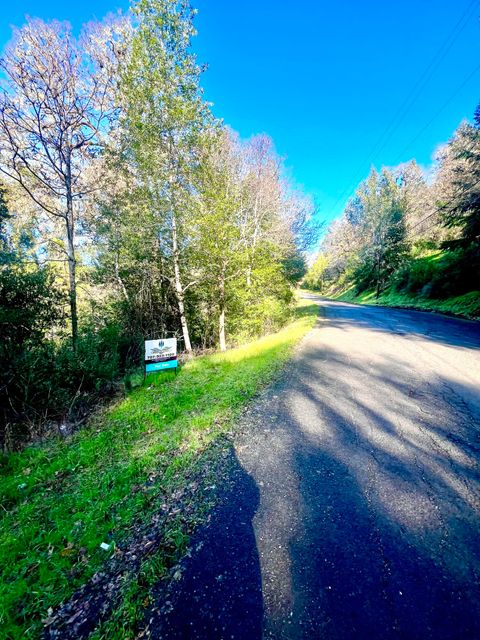 Photo of 303 & 317 Blue Rock Road, Benbow, CA 95542 (MLS # 271407)