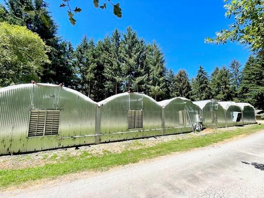 4373 CENTRAL AVE, MCKINLEYVILLE, CA 95519 - Image d6eb42165bc0c6d8eea777edd97ece77/1089545697