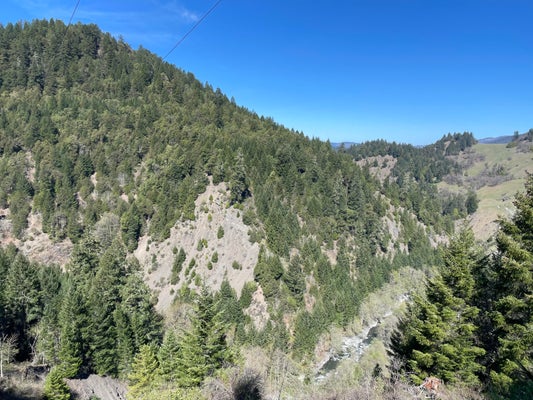15 STAGECOACH LN, WILLOW CREEK, CA 95573 - Image d864de65313c8d0a13b2bc4f8cd8ccbb/1527913610