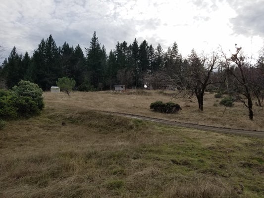4360 ZENIA LAKE MOUNTAIN RD, ZENIA, CA 95595 - Image d9a1293e7ac9f8b2efa95ef3aa57f03f/3979950415