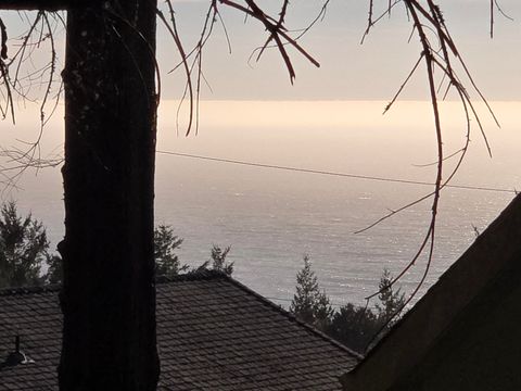 Photo of 90 Spur Court, Whitethorn, CA 95589 (MLS # 271746)