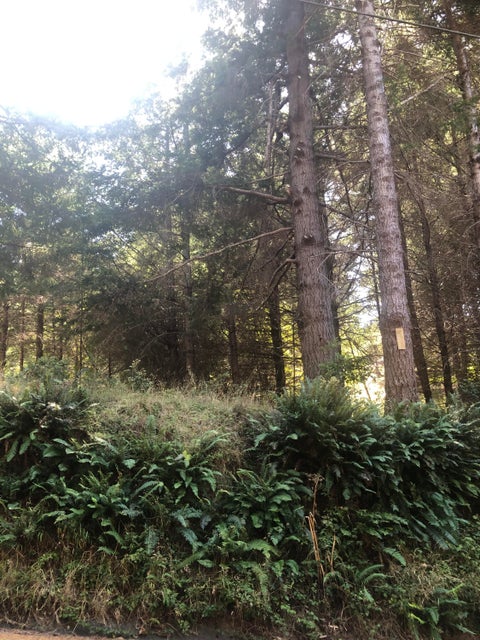Photo of 628 Beach Road, Shelter Cove, CA 95589 (MLS # 273395)