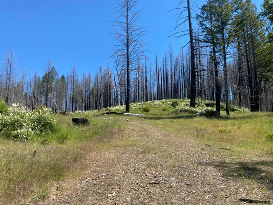 6919 ZENIA LAKE MOUNTAIN RD, ZENIA, CA 95595 - Image dffdc8f8ae714cb4c48e19ff6bb02c48/3281679096