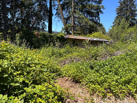 Photo of 312 Forest View Drive, Willow Creek, CA 95573 (MLS # 272378)