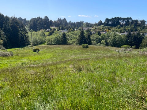 Photo of 3900 Spring Street, Eureka, CA 95503 (MLS # 273182)
