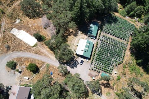 Photo of 41555 Ca-36 36, Bridgeville, CA 95526 (MLS # 271465)