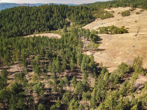 Photo of +/-80acre Bluff Creek Road, Kettenpom, CA 95595 (MLS # 271800)