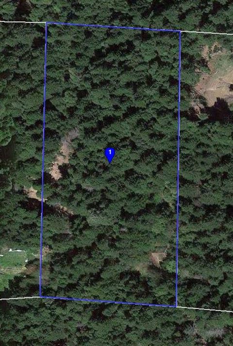 Photo of 840 Spring Road, Alderpoint, CA 95511 (MLS # 271697)