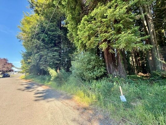 MOORE AVE, EUREKA, CA 95501 - Image f39bb954d4be6dfc68dcc9c58f707f41/76453084