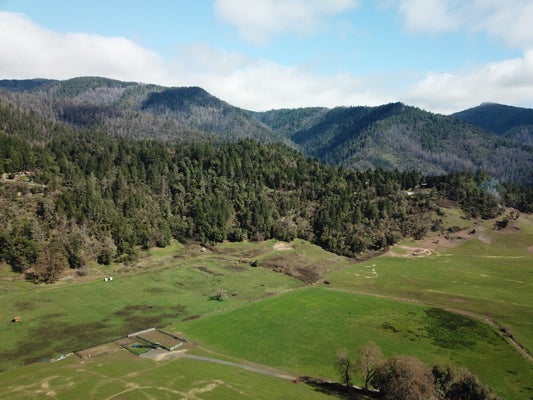 515 CHERRY TREE LN, SALYER, CA 95563 - Image f9fbc5ea00f4a2a250a9846f3d0918d2/2066258718