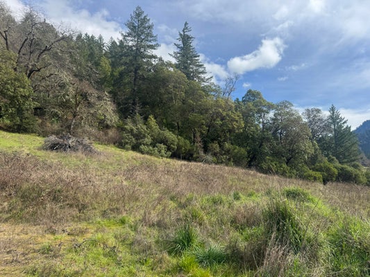 505 CHERRY TREE LN, SALYER, CA 95563 - Image fb31ecb94d2a49e8b4b5212fee44f101/3044951564