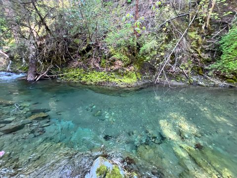 Photo of 1500, 1551 Reading Creek Road, Douglas City, CA 96024 (MLS # 272075)