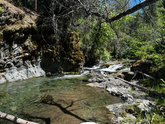 8980 READING CREEK RD, DOUGLAS CITY, CA 96024 - Image fee528eaaeea1df4b42a16945ee500d6/1652520375