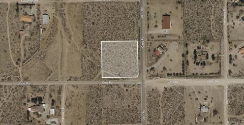 Oasis Pinon Hills CA 92372