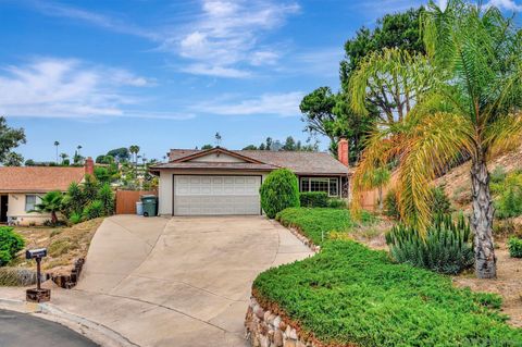 10116  Rayline Way Spring Valley CA 91977