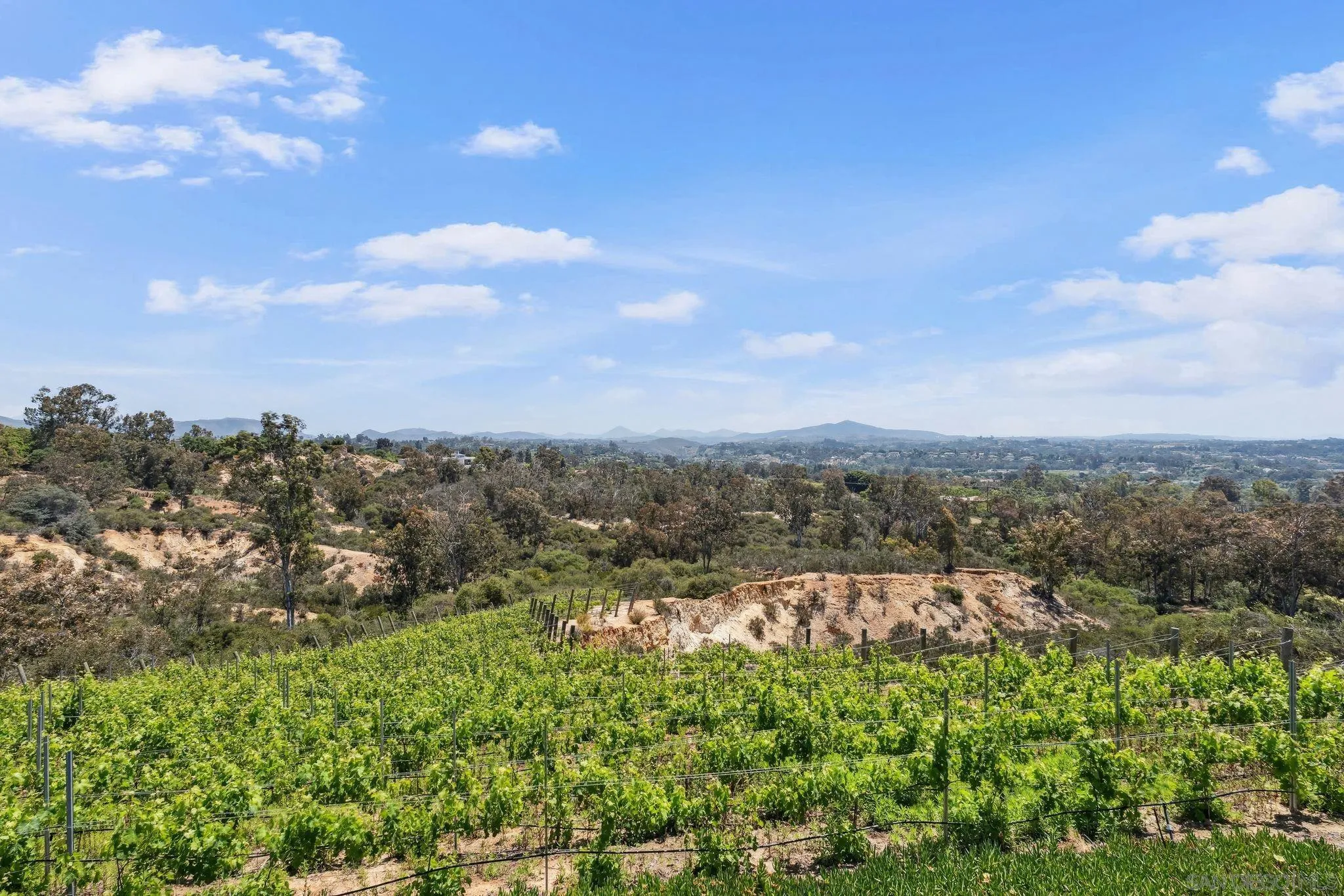 Rancho Santa Fe, California 92067, United States, 5 Bedrooms Bedrooms, ,6 BathroomsBathrooms,Residential,Active,134573