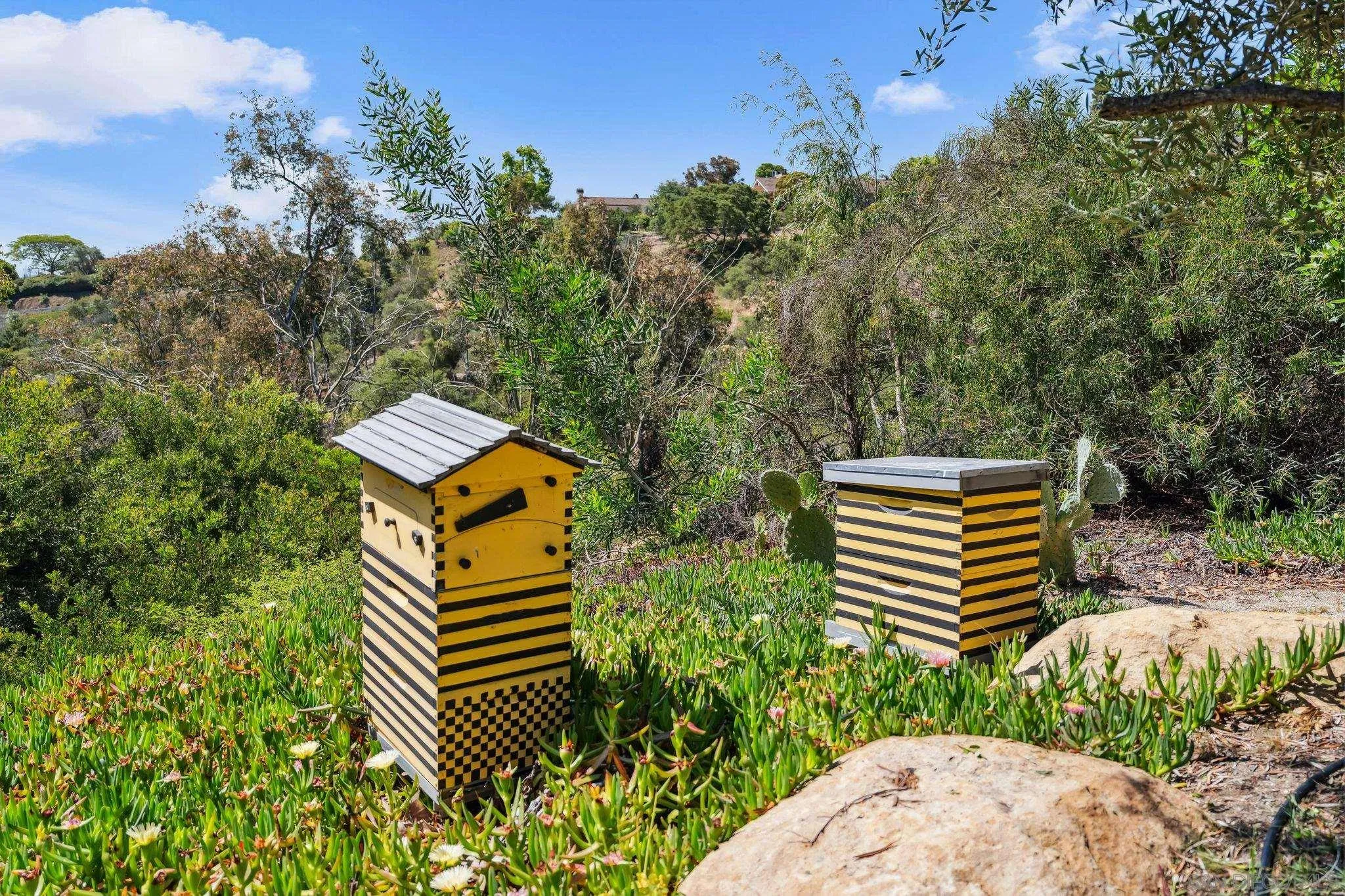 Rancho Santa Fe, California 92067, United States, 5 Bedrooms Bedrooms, ,6 BathroomsBathrooms,Residential,Active,134573