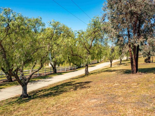 18405 Rangeland