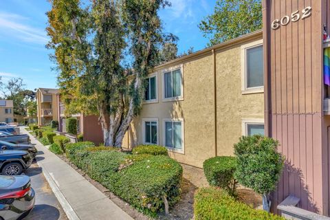 6052  Rancho Mission Rd  409 San Diego CA 92108