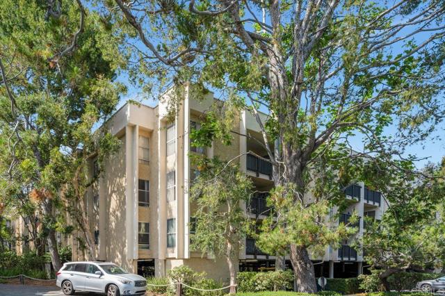 3213 Raintree Circle