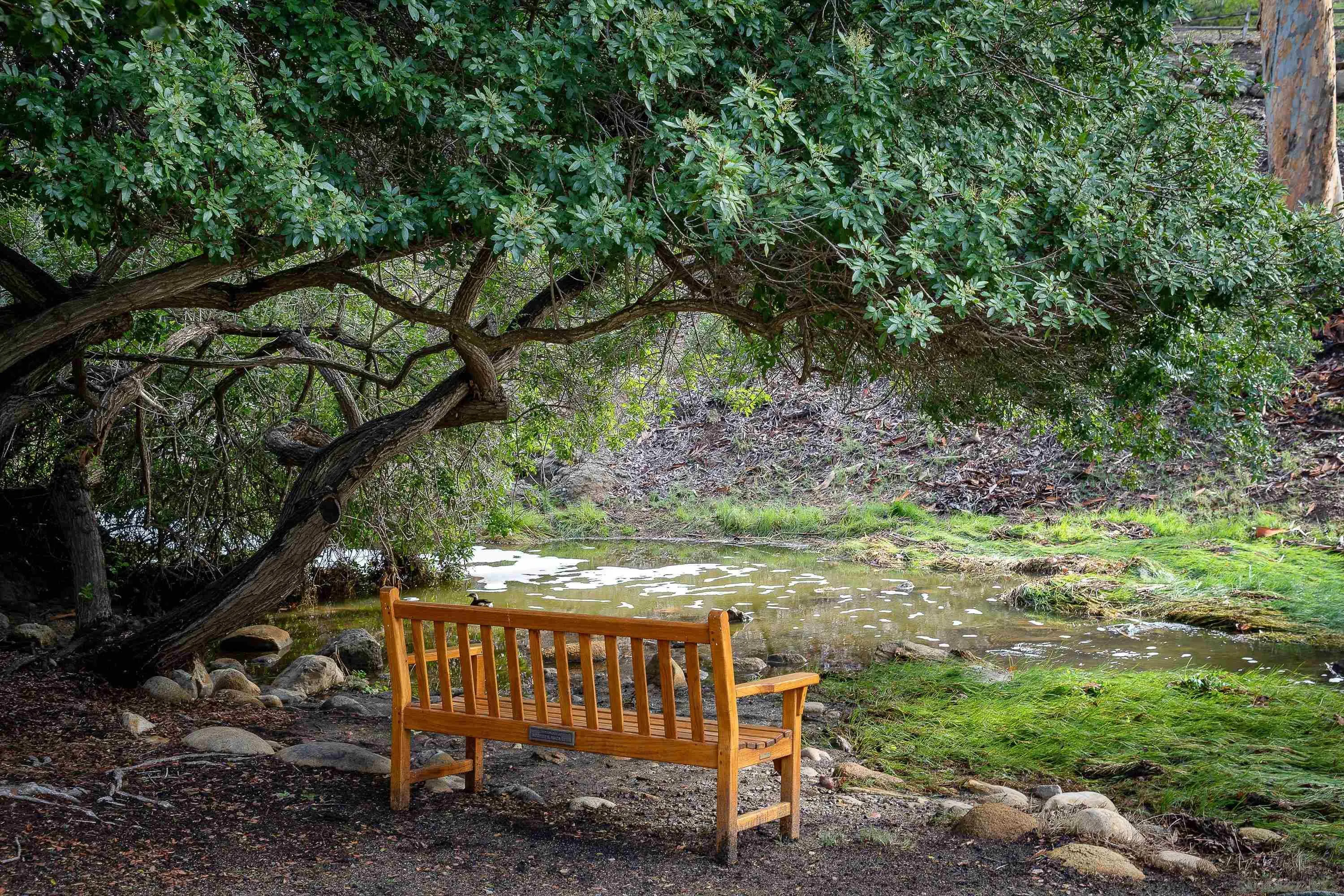 Rancho Santa Fe, California 92067, United States, 5 Bedrooms Bedrooms, ,6 BathroomsBathrooms,Residential,Active,59651