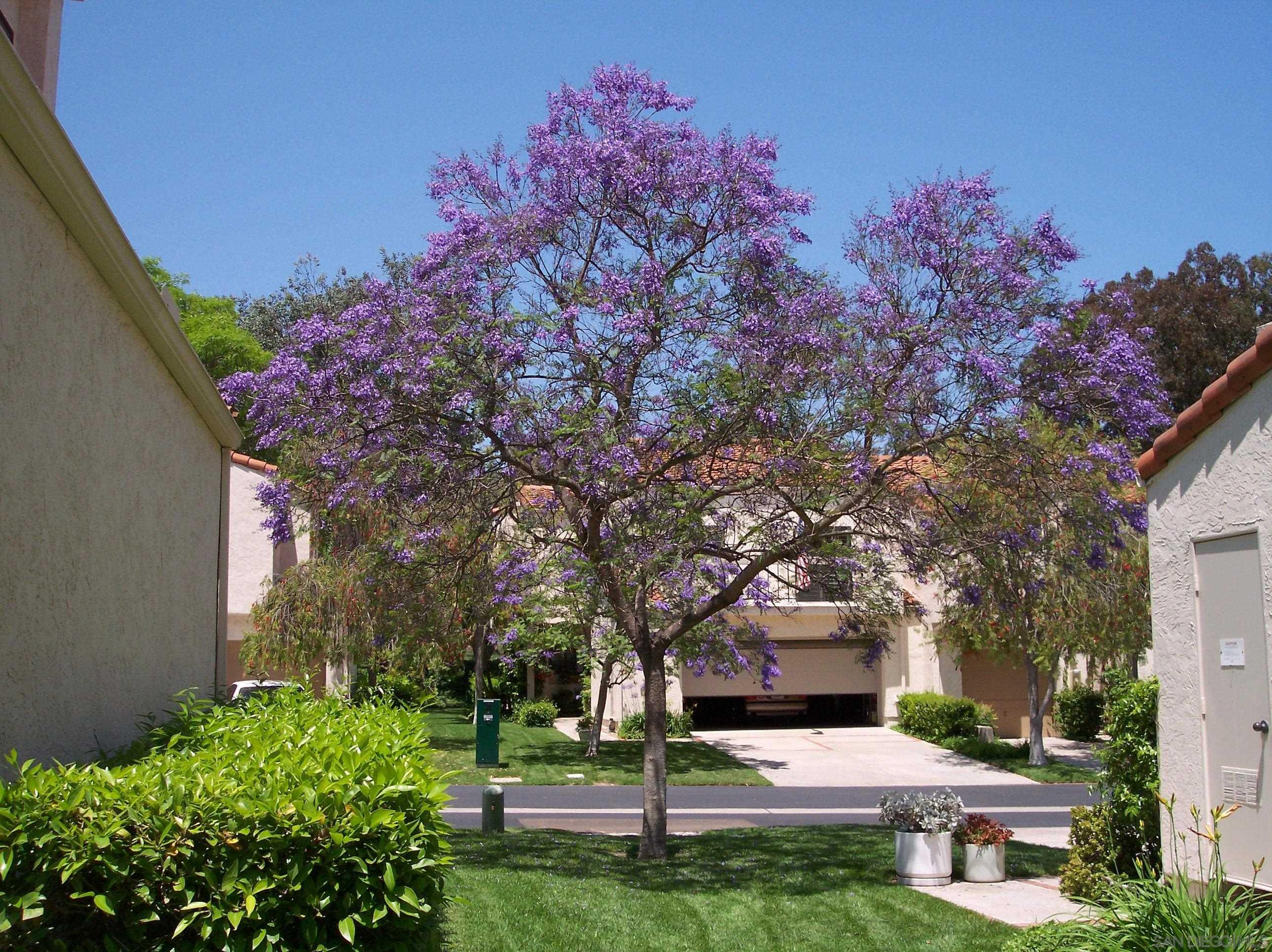 4858 Seda Dr