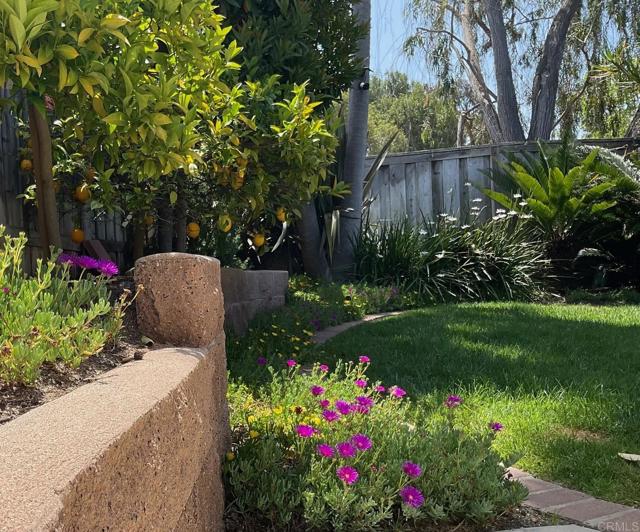 Encinitas, California 92024, United States, 3 Bedrooms Bedrooms, ,2 BathroomsBathrooms,Residential,Active,30806