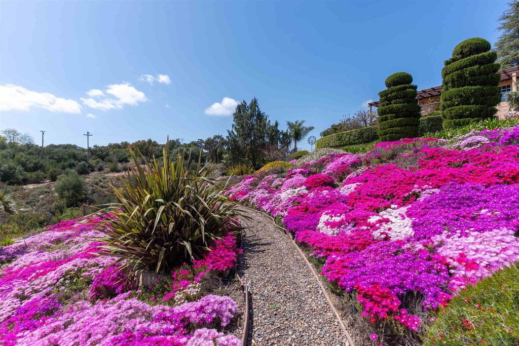 Photo of 4241 Via El Dorado, Fallbrook, CA 92028 (MLS # 250026024)