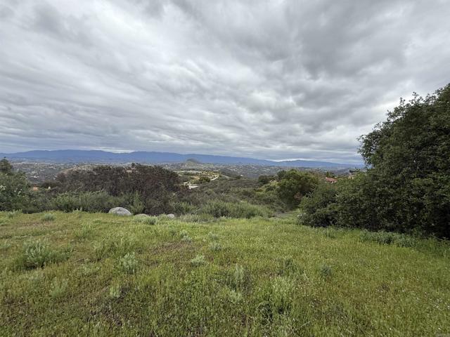 0 Mountain Meadow