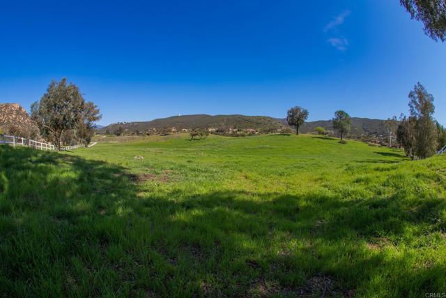 0 Vicente Meadows