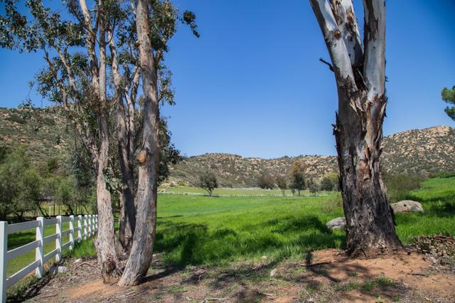 0 Vicente Meadows